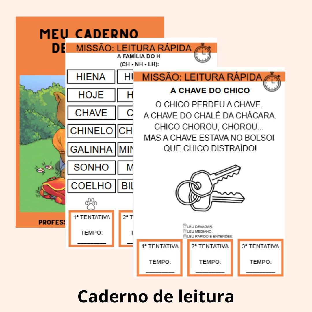Caderno de leitura - 2º ano